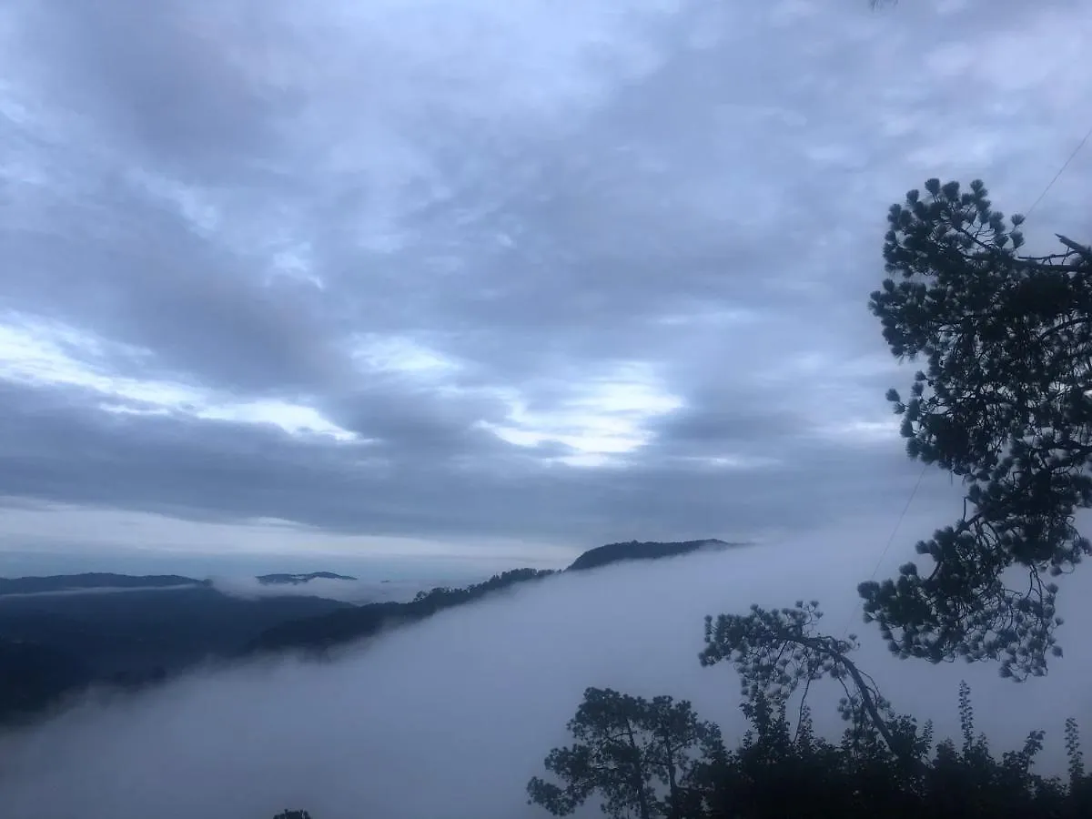 The Westberry 50Mtrs Offroading And 50 Mtrs Nature Path Bed and Breakfast Shimla